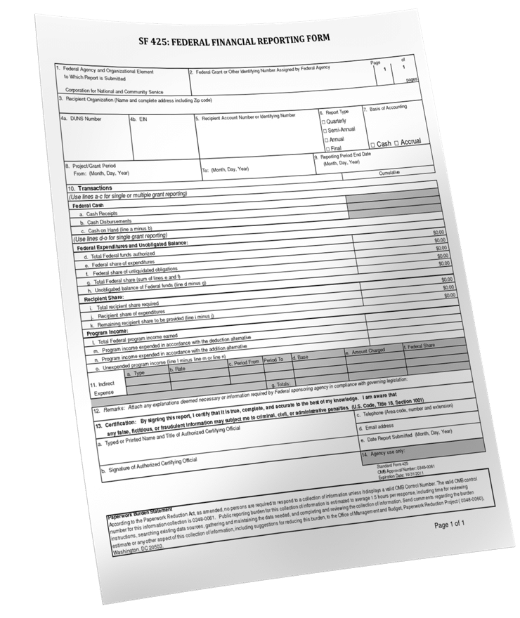 Federal financial reporting form image